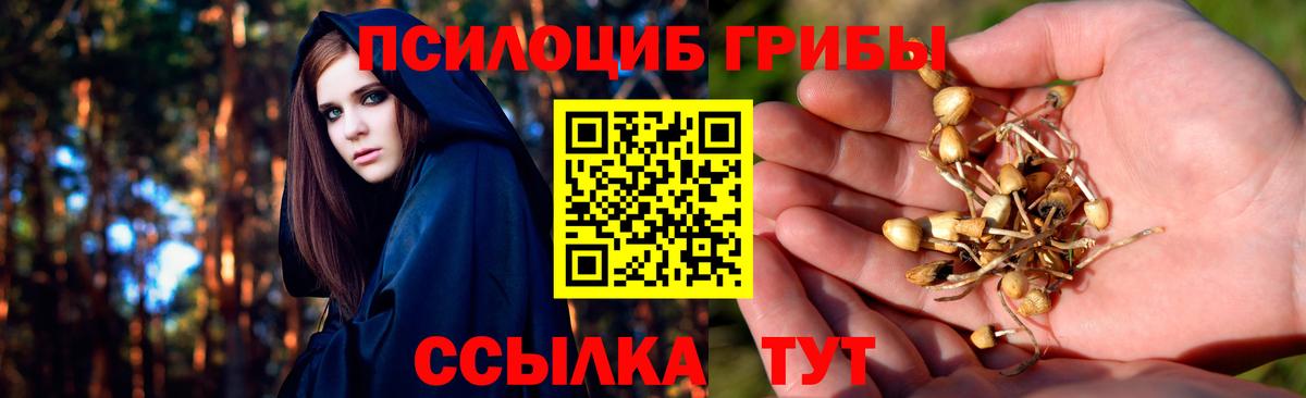 Галлюциногенные грибы прущие грибы  Вход с VPN  Галлюциногенные грибы GOLDEN TEACHER  Сунжа 